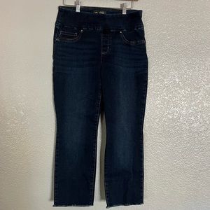 Lee Sculpting Slim Fit Pull On